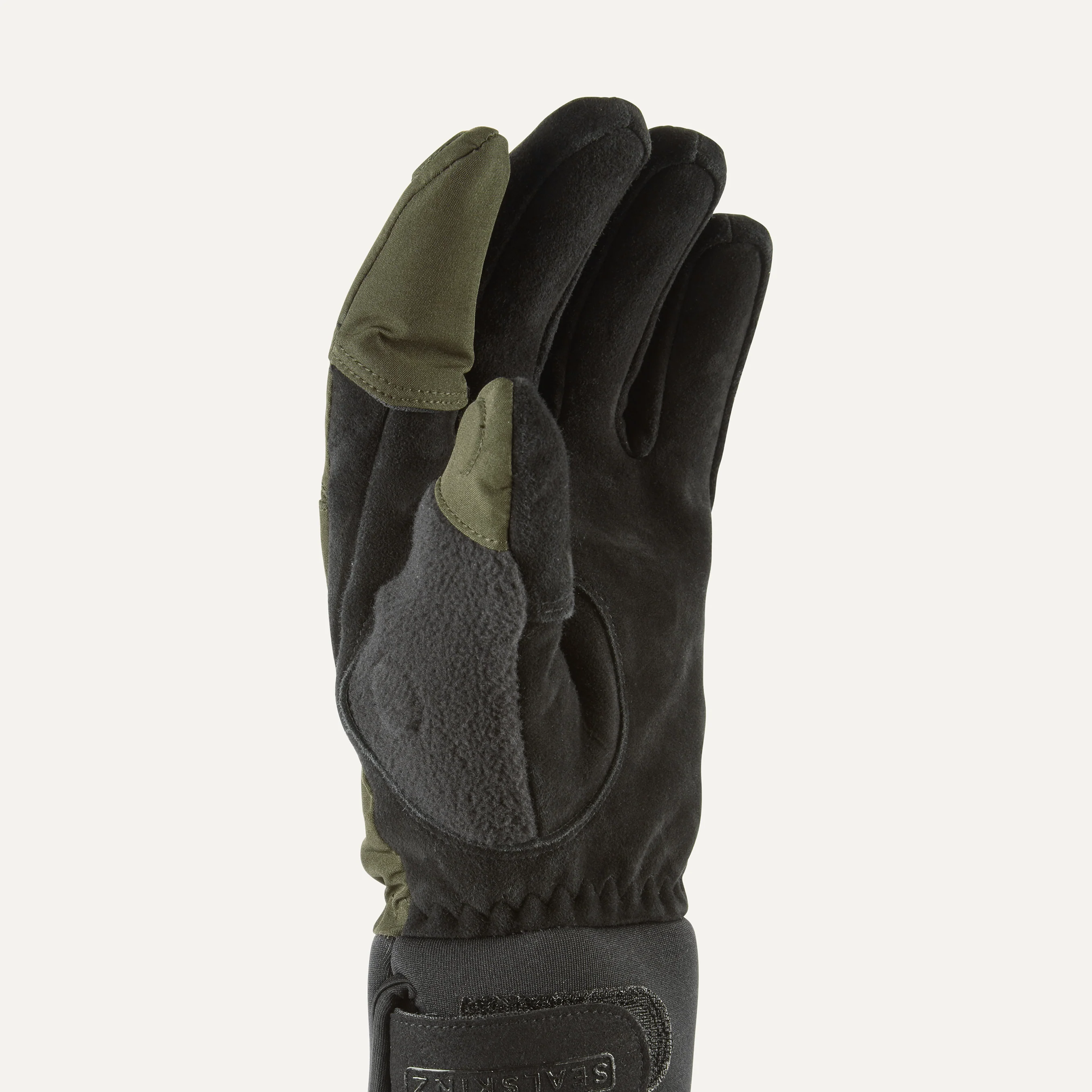 Stanford - Image 2